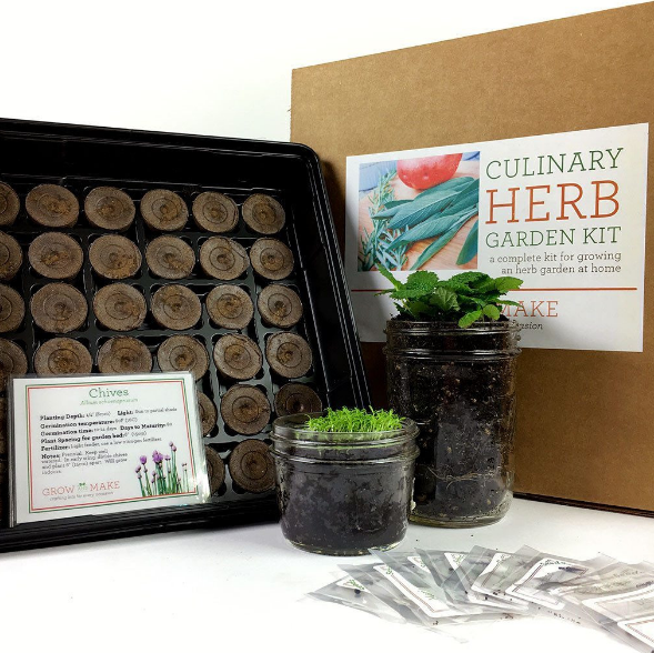 DIY Culinary Herb Garden Starter Kit