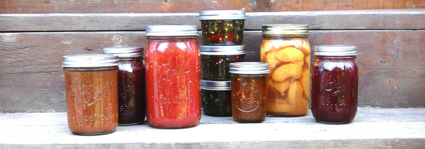 Complete Canning and Pickling Kit