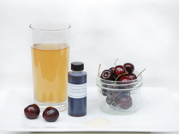 Artisan DIY Organic Soda Making Kit (ginger ale, root beer & cherry cola)