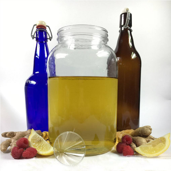 Artisan Kombucha Kit